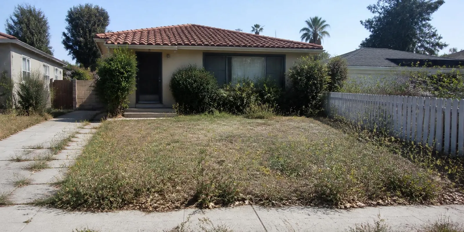 Before: overgrown front yard with a patchy brown, weedy lawn, shaggy shrubs and weeds along the walkway